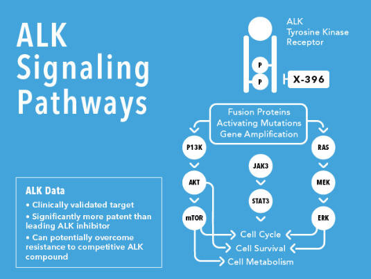 微信图片_20190225145113.png 微信图片_20190225145113.png