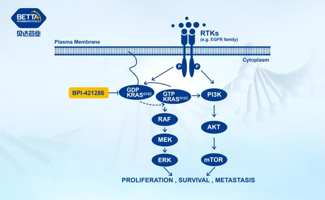 1631236880100797.jpg 2.jpg