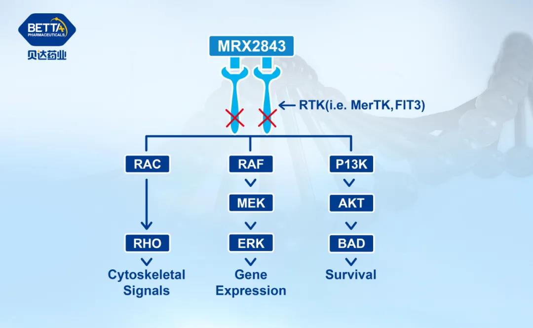 1635468701126332.jpg 微信图片_20211029085059.jpg